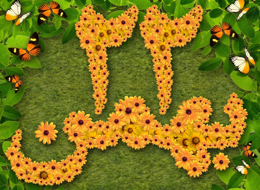 انشا 22 بهمن