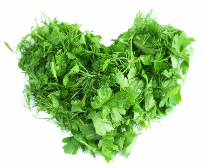 خواص عرق گشنیز قلب و گشنیز
