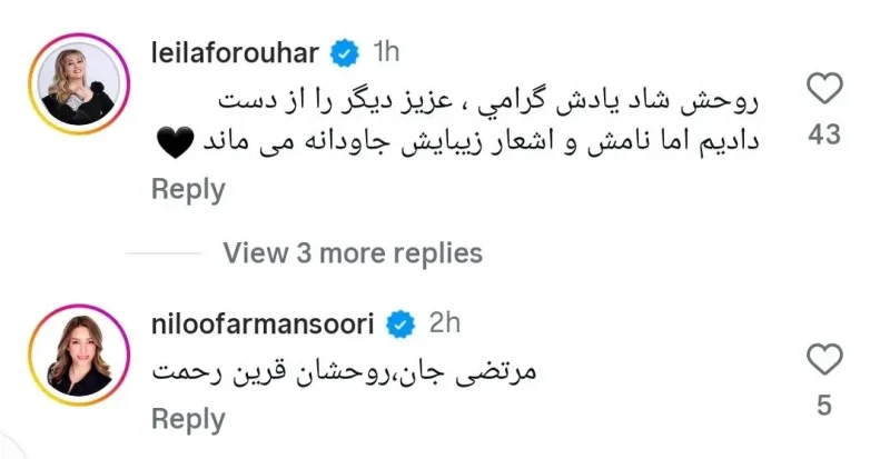هما میر افشار درگذشت؛ بیوگرافی، علت فوت و همسر معروفش پیام لیلا فروهر و نوش افرین درباره درگذشت هما میرافشار