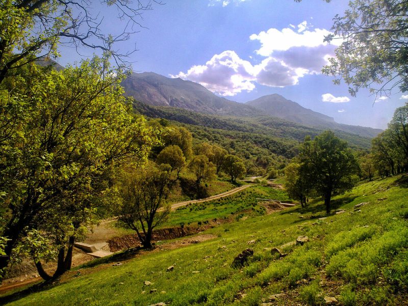کوه کلنگ زاگرس 