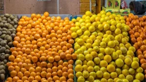 نارنگی ۱۵۰ هزار تومانی شد؛ تعیین قیمت جدید مرکبات در مازندران