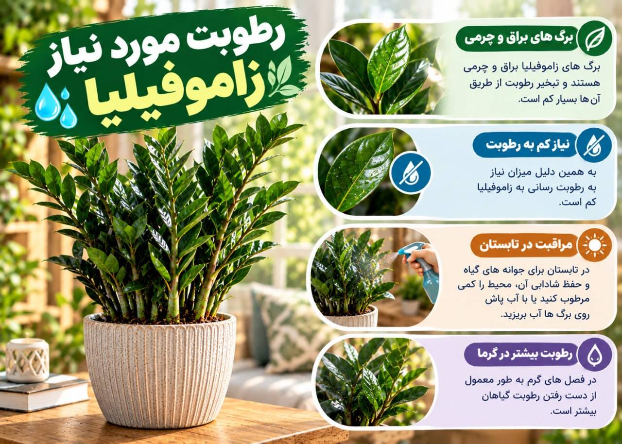 رطوبت زاموفیلیا