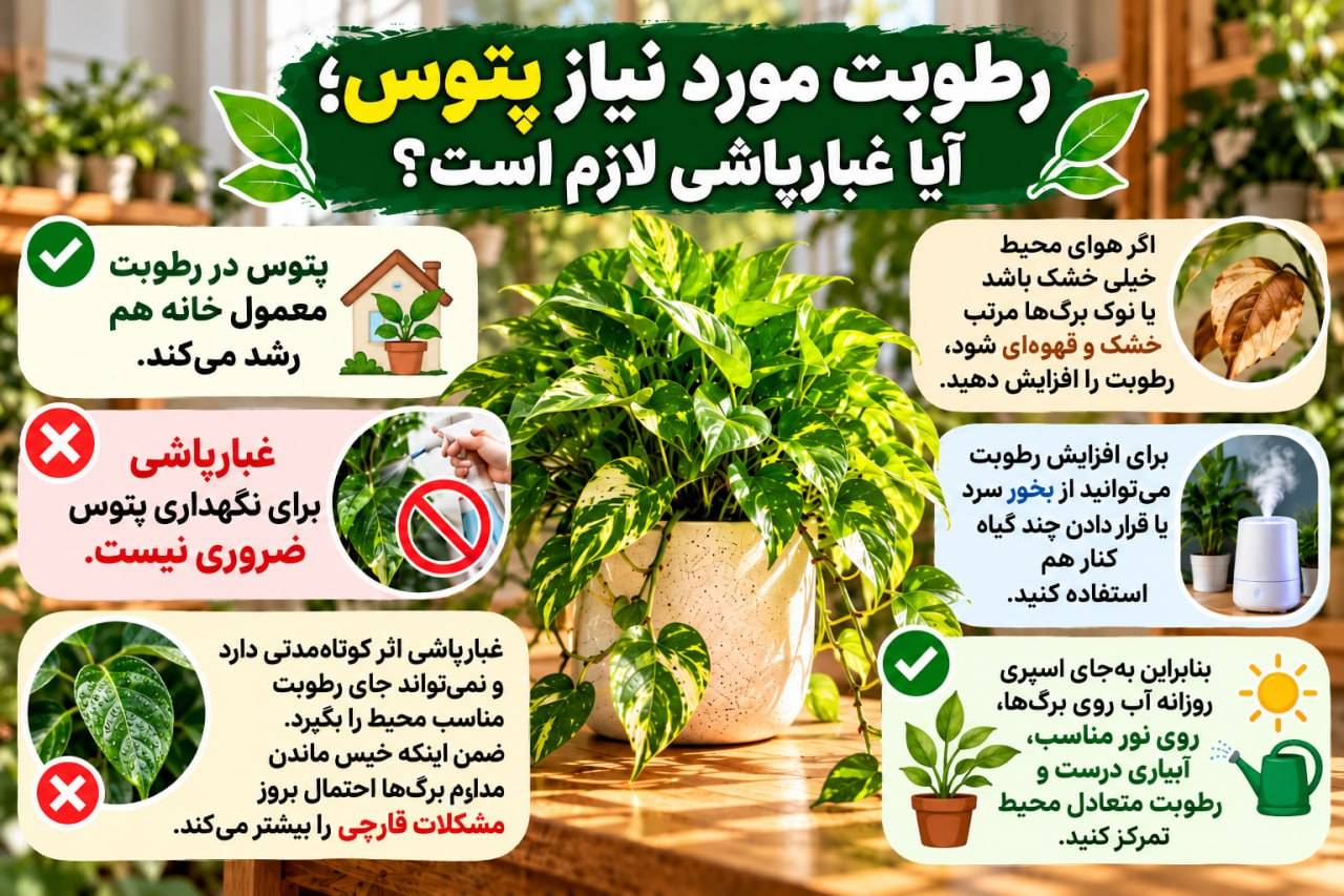 روش نگهداری گیاه پتوس + راز رشد انفجاری گل پتوس رطوبت مورد نیاز پتوس