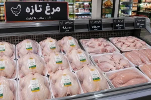 نرخ جدید مرغ شنبه ۲۵ مهر ۱۴۰۵؛ قیمت یک کیلو مرغ مشخص شد